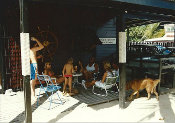 Ocean Explorers Dive Center in St. Maarten founded in 1985 by Barbara and LeRoy French. Ocean Explorers Dive Center in St. Maarten founded in 1985 by Barbara and LeRoy French.