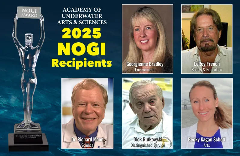 NOGI Awards 2025