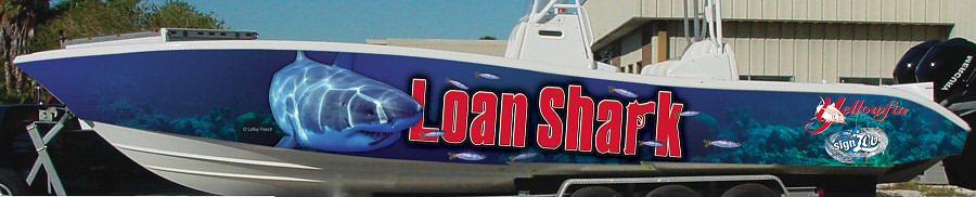 photo of a white shark